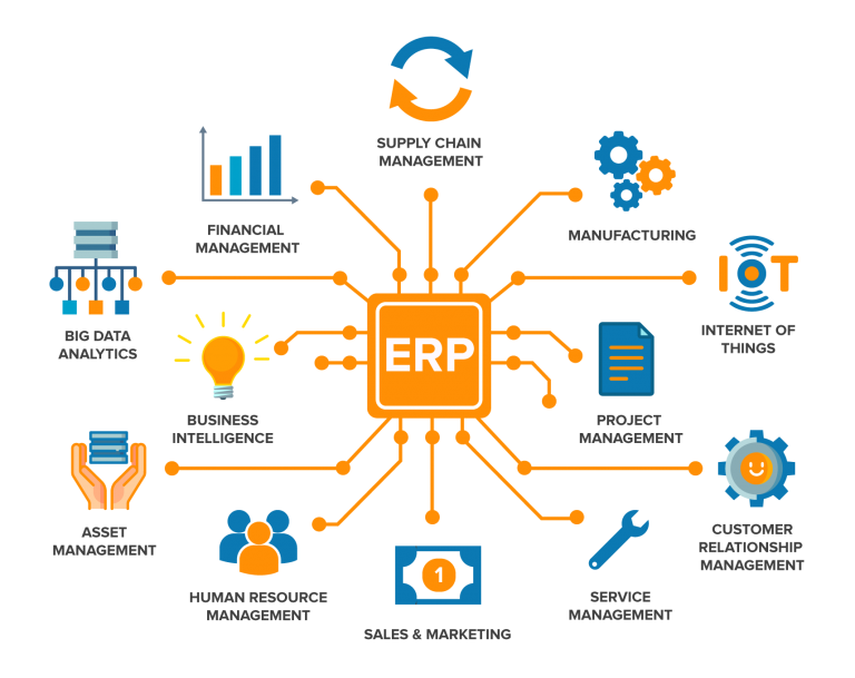 Enterprise Resource Planning (ERP) Systems